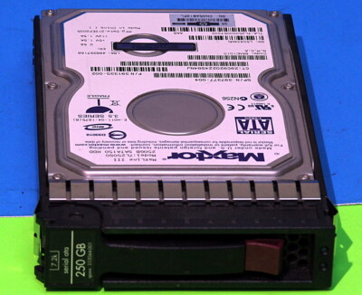 391335-002 HP MAXTOR MAXLINE III 7L250S0 250GB SATA 7200RPM 3.5 Hard Drive