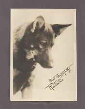 RINTINTIN  1930 PIN UP PHOTO WITH FAC-SIMILE SIGNATURE !!!