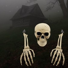 Squelette de crâne de tête, modèle d'anatomie humaine d'accessoires