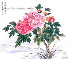 Chinese 100 real natural silk thread,su hand embroidery kits:peony flower 9"