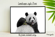 PANDA FUN A4 PRINT PICTURE POSTER WALL ART HOME DECOR UNFRAMED  NEW GIFT