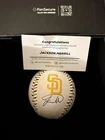 Jackson Merrill Autographed Padres Team Laced Baseball San Diego Fanatics