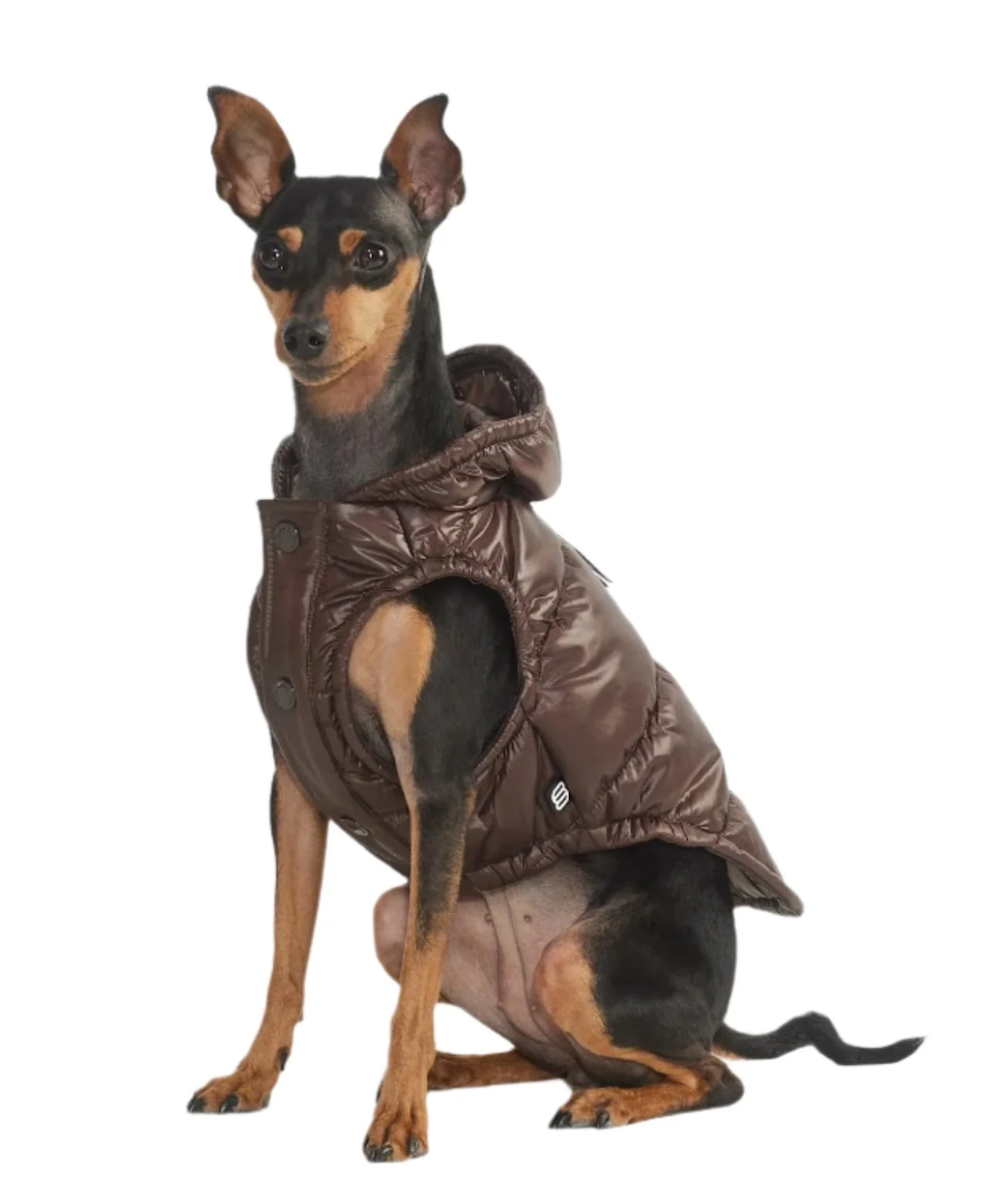 Aritzia The Super Ruff Puff (Dog Jacket) Hi-Gloss Rich Mocha