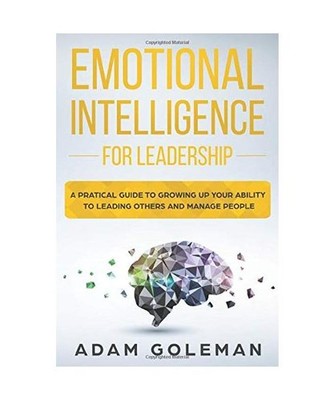 Emotional Intelligence for Leadership: A Practical Guide to Growing Up Your Abil