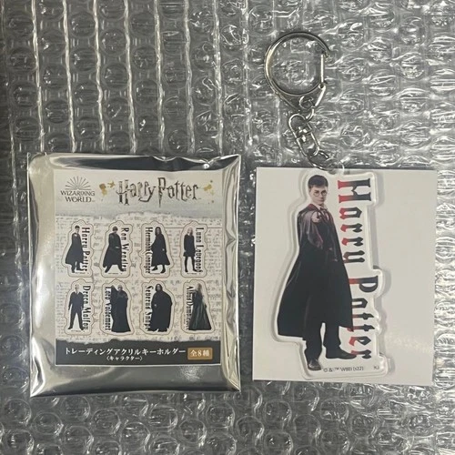 Harry Potter Harry Potter Acrylic Keychain Harry