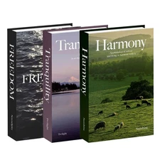4 Pack Decorative Faux Books Set Home Aesthetic Hollow Fake Bookshelf Decor