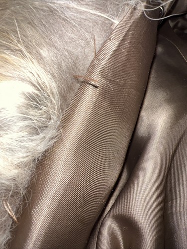 Cappotto Cappotto Pelliccia Coyote 50" Lungo M - Giacca Vintage Wild Luxury Spedizione Veloce Leggi - Foto 16 di 24