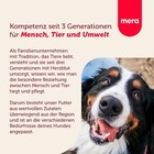 Bild 5 von 6