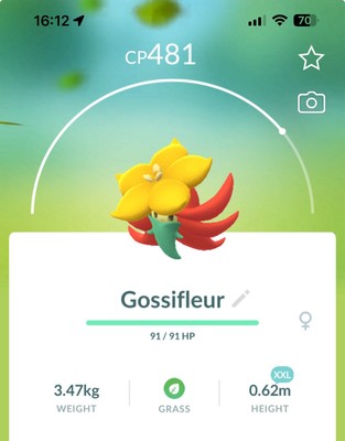 Gossifleur XXL SIZE Pokestop Showcase Pokemon Gen8 Go Same day Pokémon Galar