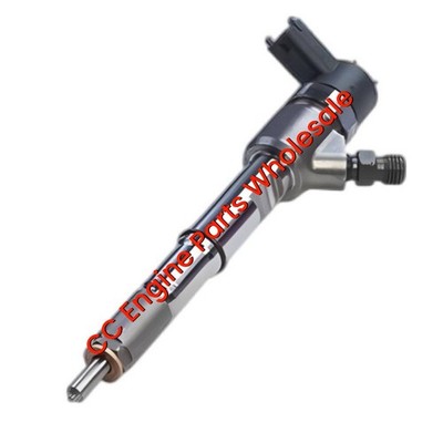 0445110447 Common Rail Diesel Fuel Injector for FAW BAW Fenix