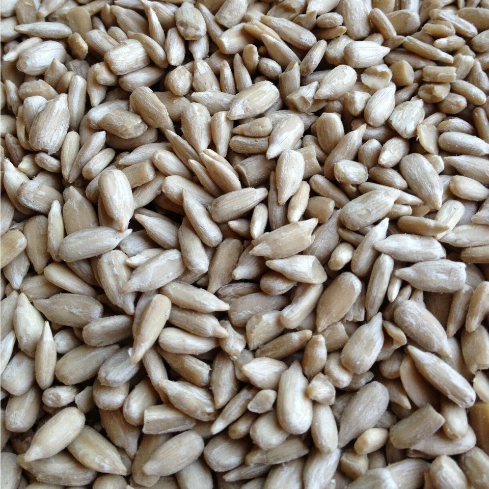 Sonnenblumenkerne geschält Speisequalität ERNTE 2025 High Premium Paul's Mühle