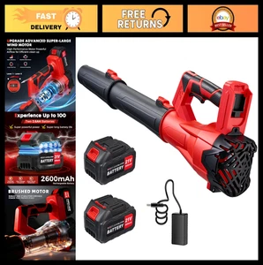 Powerful 650CFM Cordless Leaf Blower, 21V, 6-Speed, 2 Batteries & Charger, Yard