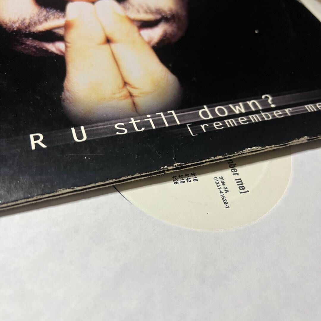 2PAC Tupac / R U STILL DOWN? 1997 US Original Edition 3LP 2PAC Tupac / R U STILL DOWN? 1997 US Original Edition 3LP