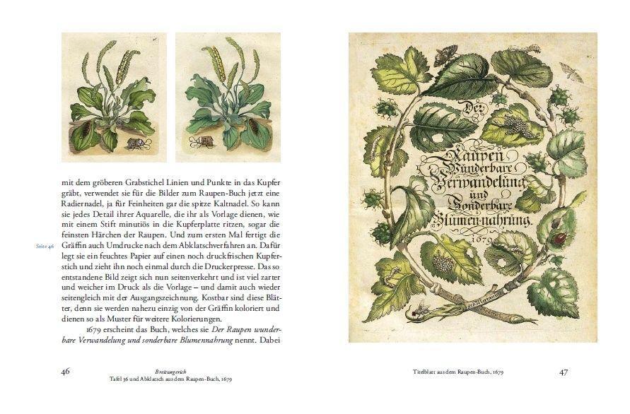 Thumbnail - Maria Sibylla Merians Reise Zu Den Schmetterlingen, Boris Friedewald