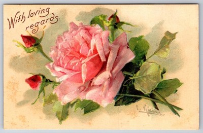 Catherine Klein~With Loving Regards~Lush Pink Rose & 3 Buds~Emboss~Germany~1909