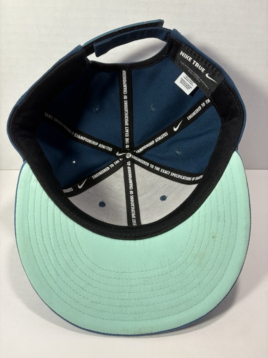 NBA Lebron James Nike True Snapback Mens Blue Hat Cap King Vector