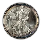 1993 1 oz Silver American Eagle - Subtle Violet Rim Toning - BU - SKU-E3431