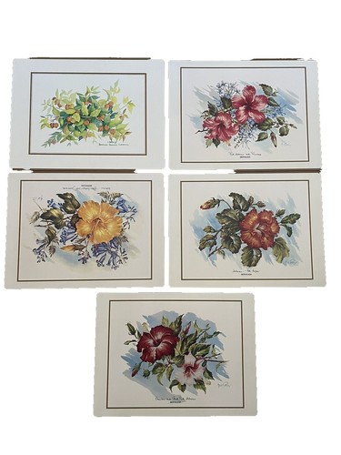 Pimpernel Classic Black Set Of 4 Placemats – Guyana - View #11