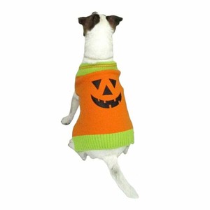 dog pumpkin sweater