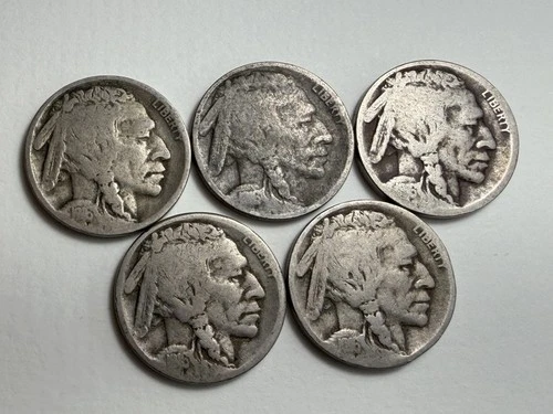 Lot of (5) 1916-S Buffalo Nickel - (G -G+) Rare Visual Dates No Acid Estate Sale