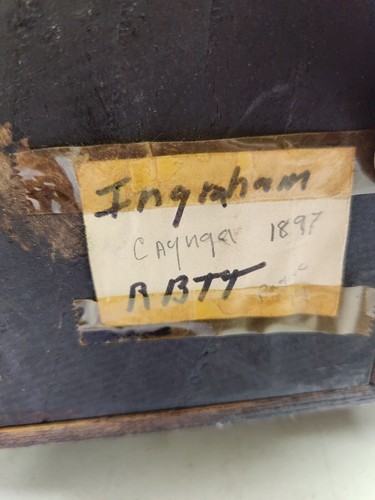 Antike 1897 E. Ingraham Uhr Co TINGBROT KÜCHE MANTELUHR Cayuga - Bild 10 von 11