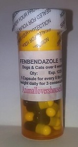 tapeworm medication for kittens