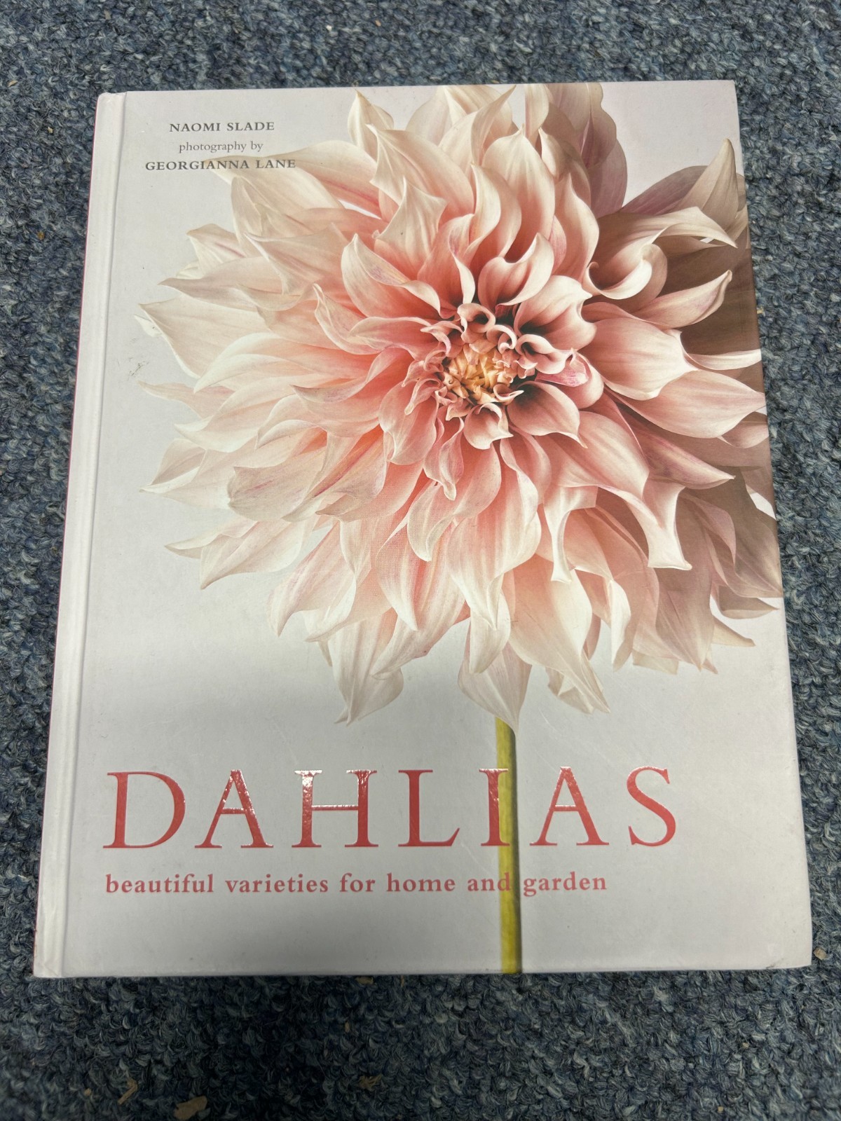 Dahlias: Beautiful varieties for home and garden by Naomi Slade (NEW) Free P+P