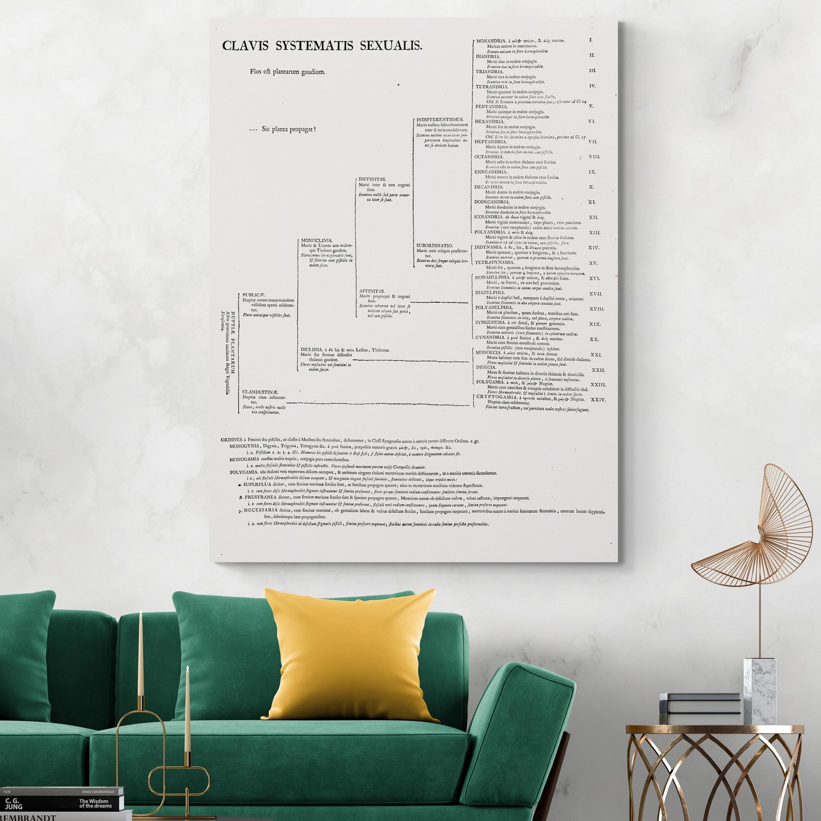 1735 Carl Linnaeus Plant Kingdom Taxonomy Chart – Historic Botanical Diagram