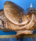 Vintage Hand Carved Elephant Approximately 9 Inches Tall — photo 8