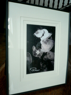 Philippi Design Fotorahmen ''Teatro'' pulverbeschichtet mit Passepartout Geschenk