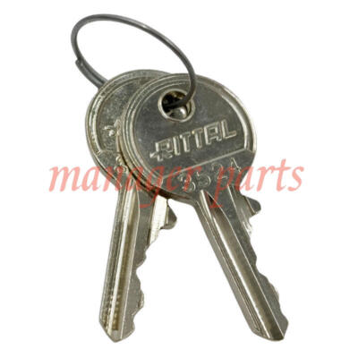 1Pair (2Keys) Fit Rittal 2532000 Enclosure Key