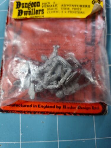 Dungeon Dwellers Pack 4 - Female Adventurers, 25 mm, D&D, Rieder Design, as new - Foto 2 di 2