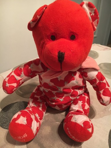 Chien Ours Teddy Bear Bär
