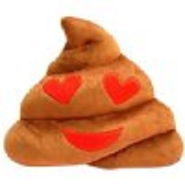 giant poop emoji pillow