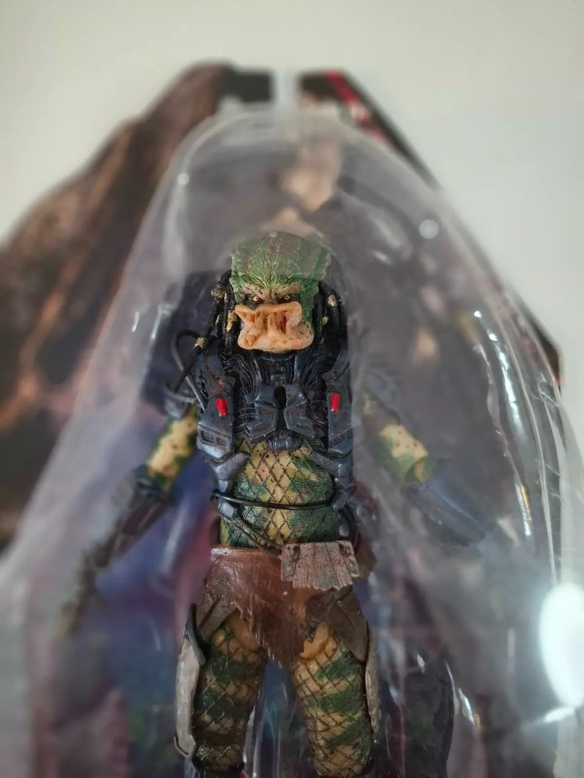 Picture 2 of 5