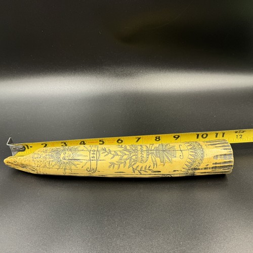 "Diente de ballena imitación Scrimshaw vintage 1840 Daniel Christian talla 11"" resina" - Imagen 14 de 14