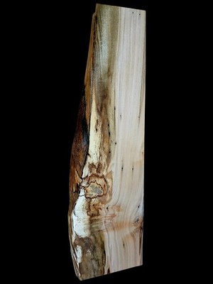 XXL Wicked FIGURED AMBROSIA MAPLE  BURL Wood Slab Craft/Turning wood EPOXY WOOD 