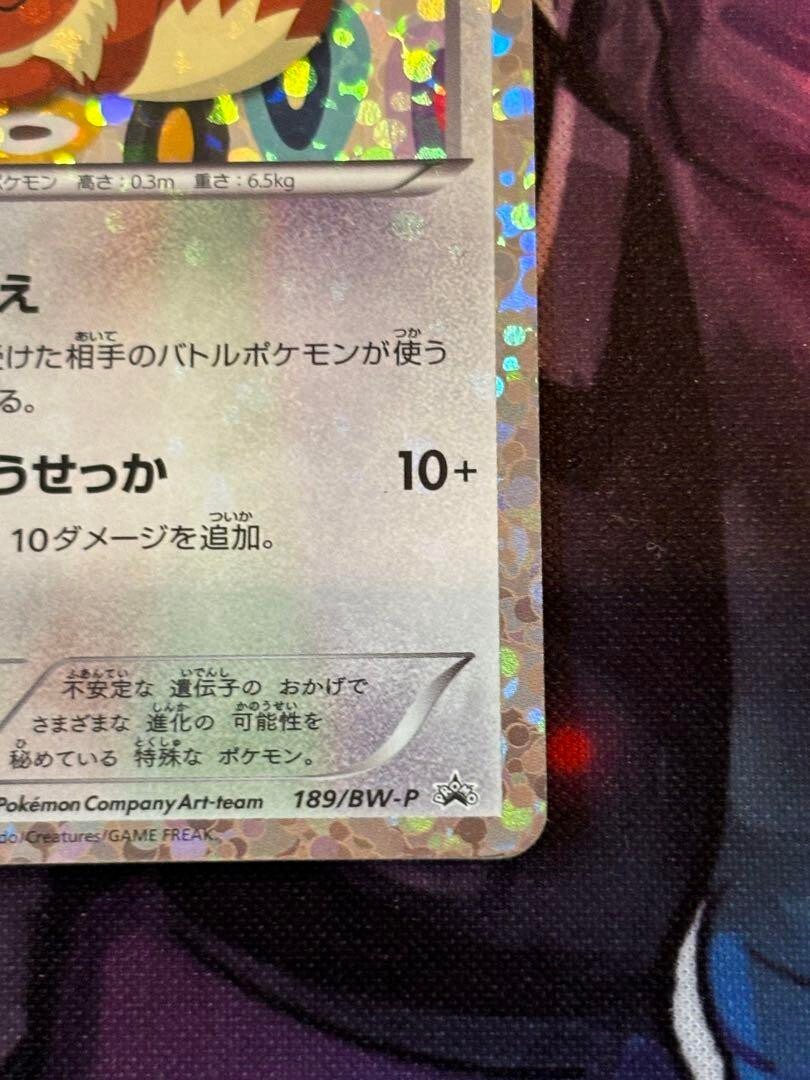 Pokemon Card Eevee 189/BW-P Eevee Collection File Promo Holo