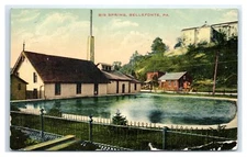 1912 Bellefonte, PA Postcard- BIG SPRING Hill Trees Buildings