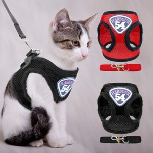 cat walking vest