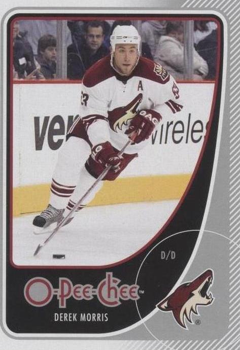 2010-11 O-Pee-Chee - Derek Morris #244 - 1 of 1