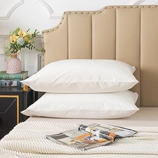 Set of 2 Velvet Queen Size Pillowcase, Soft and Queen 20 x 30 Inches White