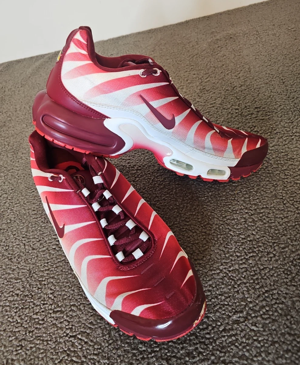 Nike Air Max Plus After the Bite for Sale | Authenticity