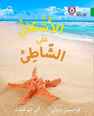 Collins Big Cat Arabic - Shapes on the Seashore: Level 5 by Ridley, Teo New+-