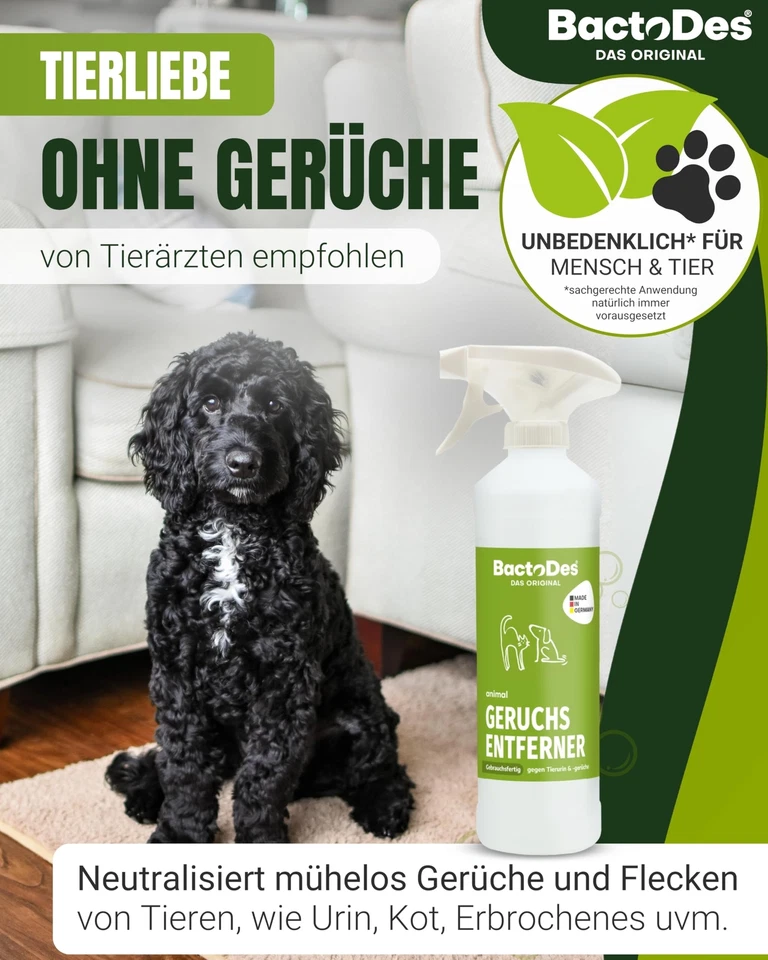 - Animal Ready Geruchsneutralisierer Sprayflasche 1l gebrauchsfertig - Starke... - Bild 2 von 4