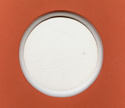 Circle plaque plaster of Paris painting project. Set of one!