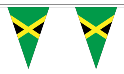 20 Metre's 40 Flags Jamaican Independence Day Team Jamaica Party Bunting Banner