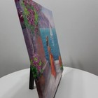 Foto 18 di 24