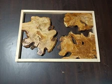 Live Edge Olive Root Slabs Set for DIY Epoxy Projects, Ready to be Resin Table