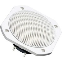 Visaton FRS 10 WP - 8 Ohm 4 Zoll 10 Cm BreitbäNder 25 W 8 Ω Weiß